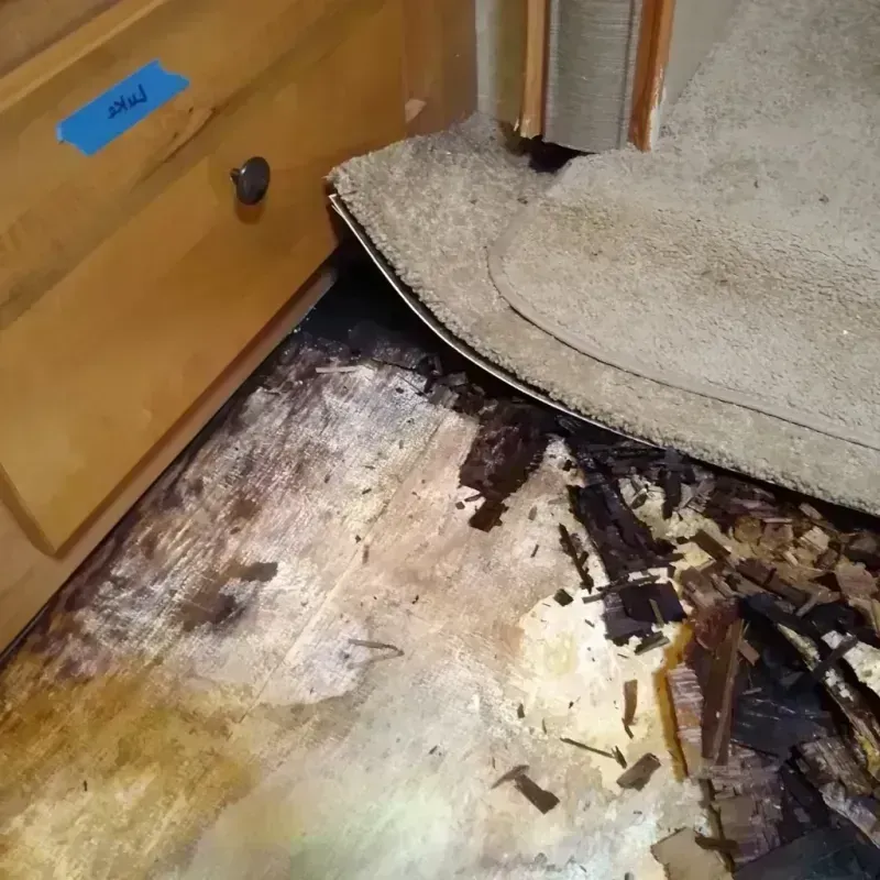 Wood Floor Water Damage in Forsyth, GA